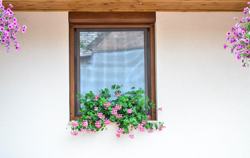 Pava Apartmanhaz Makó 외부 사진